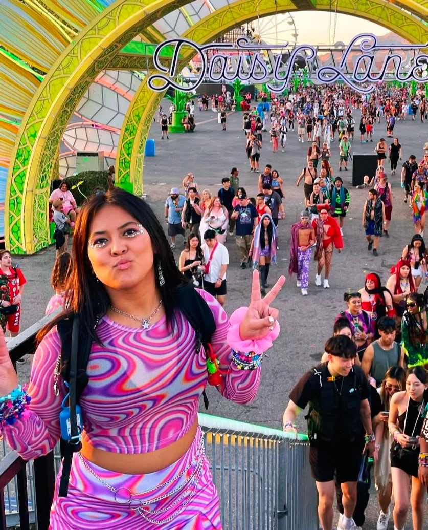 Chrome Mesh Long Sleeve Crop Top